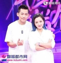 爆料何洁离婚是真的吗视频,视频爆料揭示婚姻破裂内幕